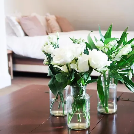 Schiphol Airport Rijsenhout